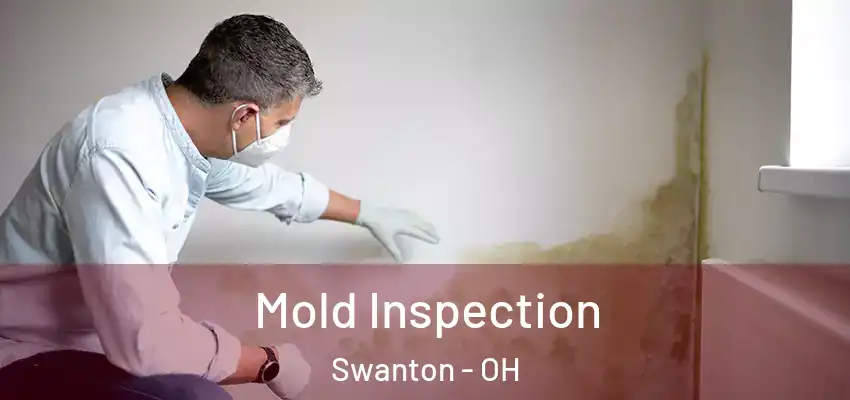  Mold Inspection Swanton - OH