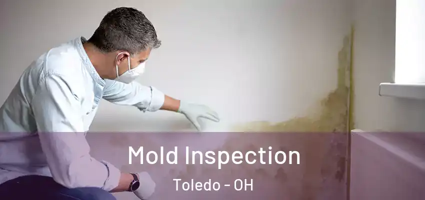  Mold Inspection Toledo - OH