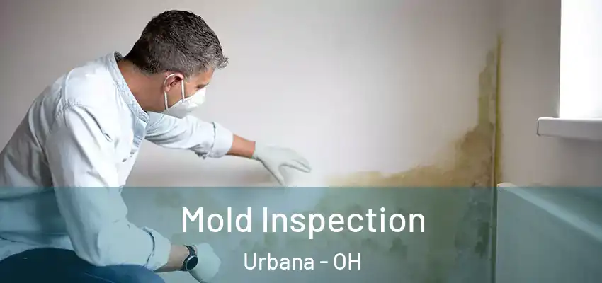  Mold Inspection Urbana - OH