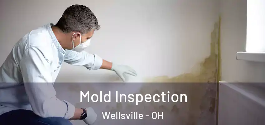  Mold Inspection Wellsville - OH