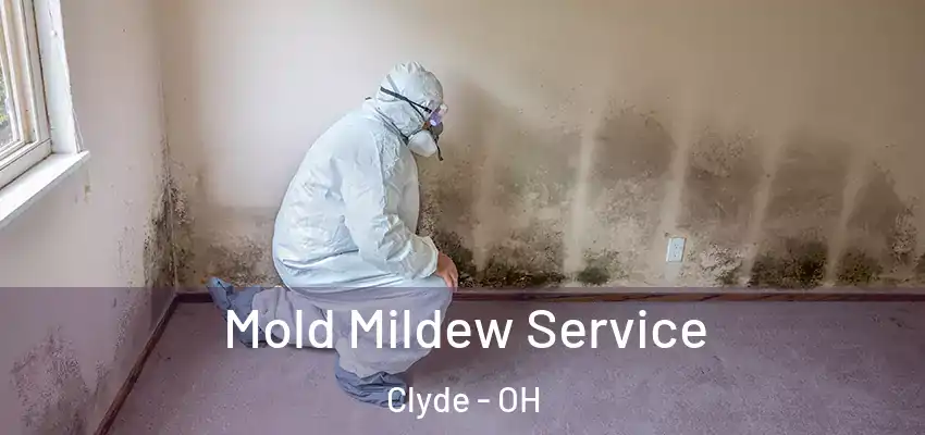  Mold Mildew Service Clyde - OH