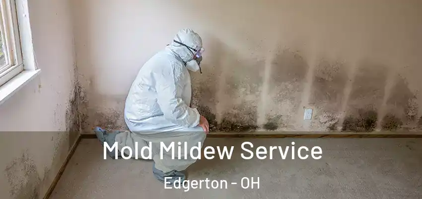  Mold Mildew Service Edgerton - OH