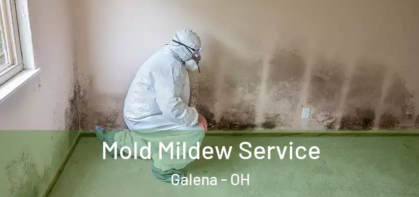  Mold Mildew Service Galena - OH