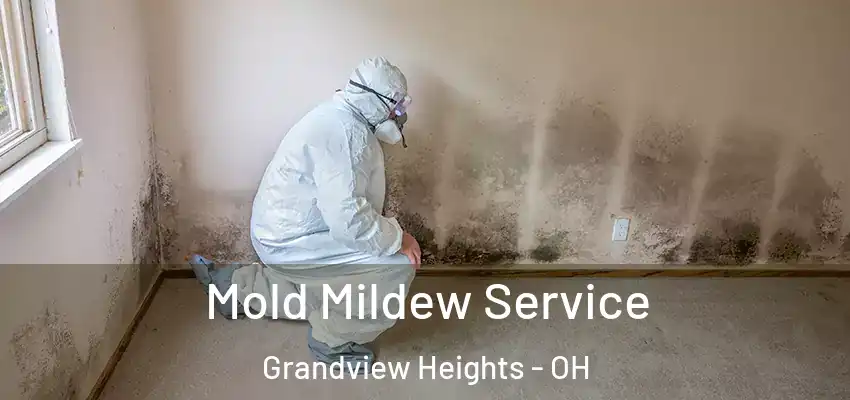  Mold Mildew Service Grandview Heights - OH