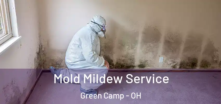  Mold Mildew Service Green Camp - OH