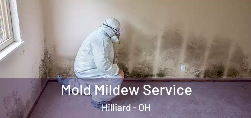  Mold Mildew Service Hilliard - OH