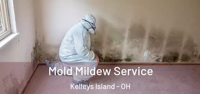  Mold Mildew Service Kelleys Island - OH