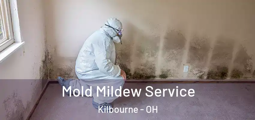  Mold Mildew Service Kilbourne - OH