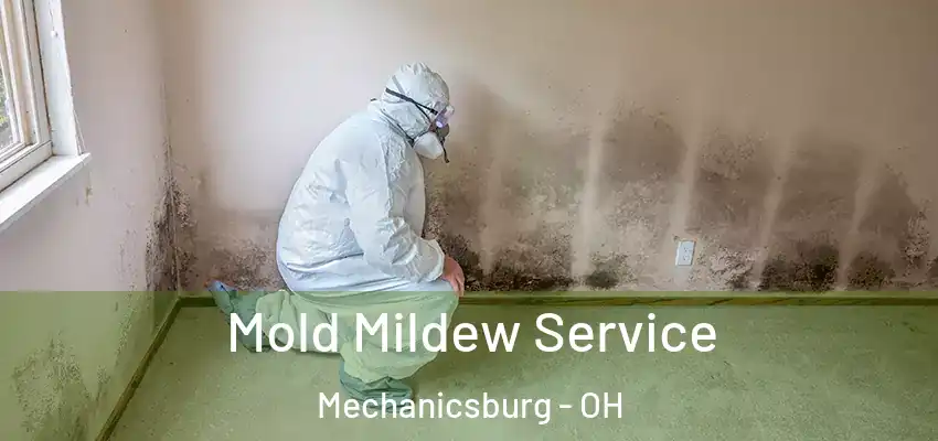  Mold Mildew Service Mechanicsburg - OH