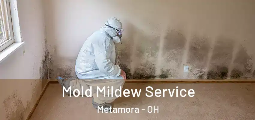  Mold Mildew Service Metamora - OH