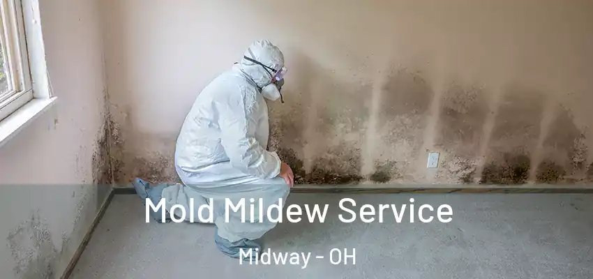  Mold Mildew Service Midway - OH
