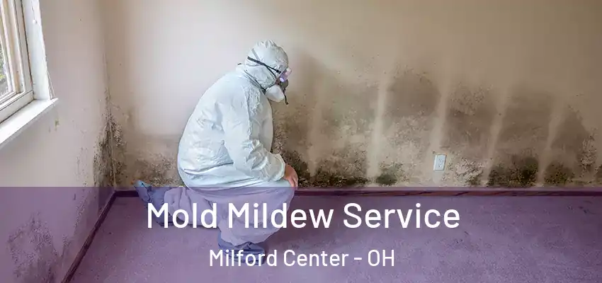  Mold Mildew Service Milford Center - OH