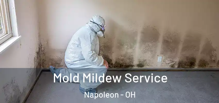  Mold Mildew Service Napoleon - OH