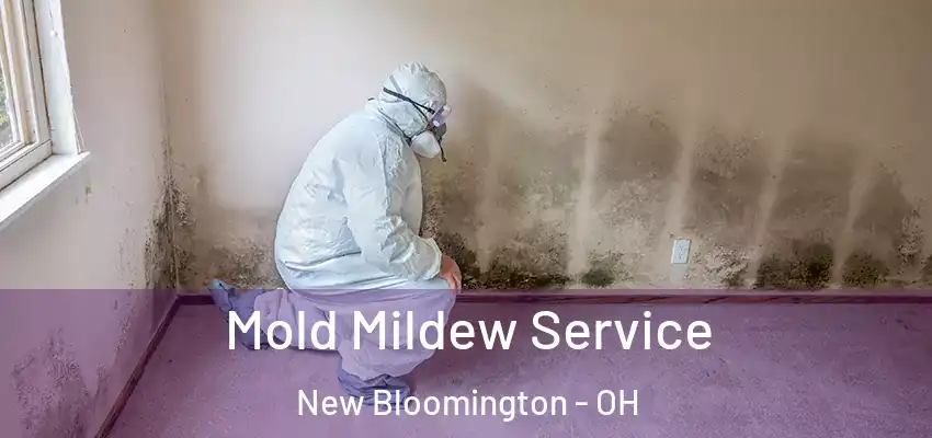  Mold Mildew Service New Bloomington - OH