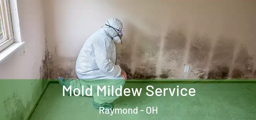  Mold Mildew Service Raymond - OH