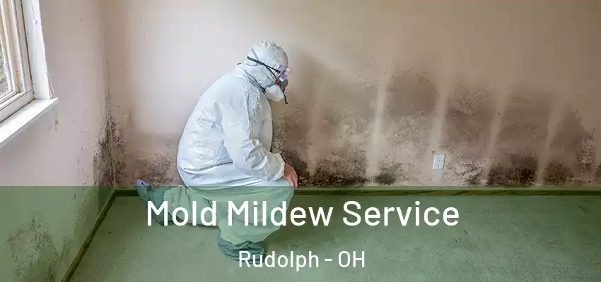 Mold Mildew Service Rudolph - OH