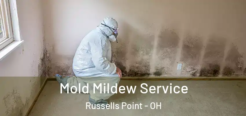  Mold Mildew Service Russells Point - OH