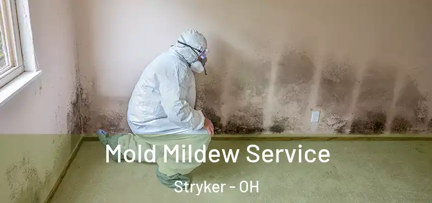  Mold Mildew Service Stryker - OH