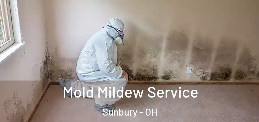  Mold Mildew Service Sunbury - OH