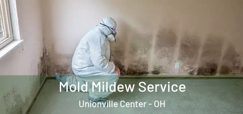  Mold Mildew Service Unionville Center - OH