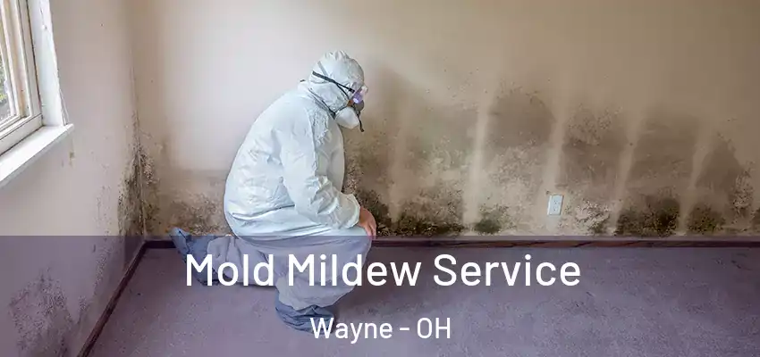  Mold Mildew Service Wayne - OH
