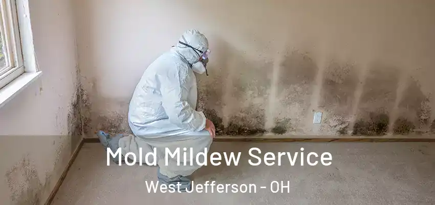  Mold Mildew Service West Jefferson - OH
