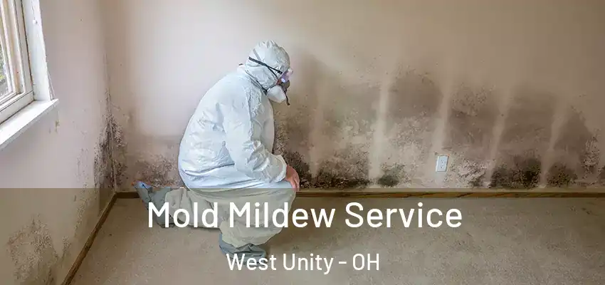  Mold Mildew Service West Unity - OH