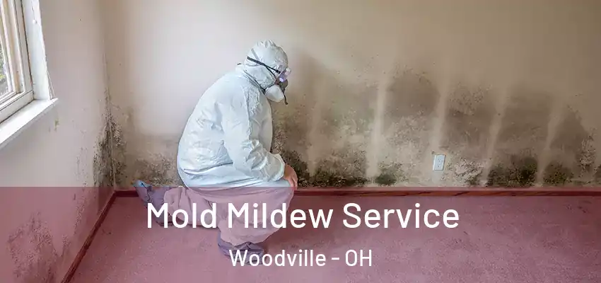  Mold Mildew Service Woodville - OH