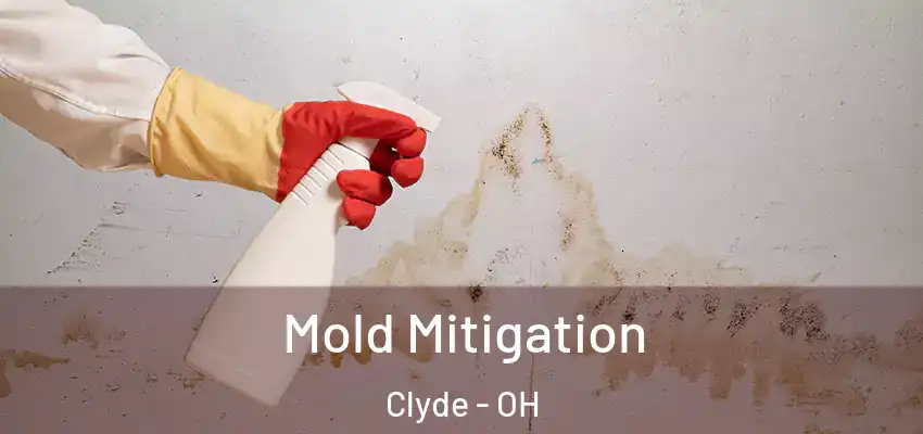  Mold Mitigation Clyde - OH