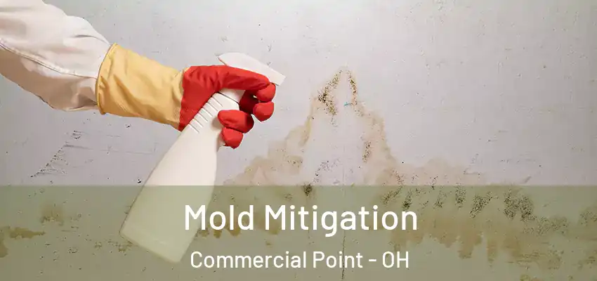  Mold Mitigation Commercial Point - OH