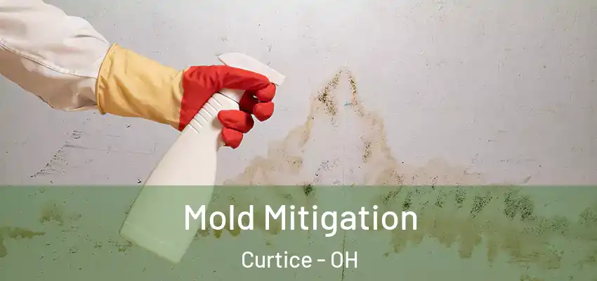  Mold Mitigation Curtice - OH