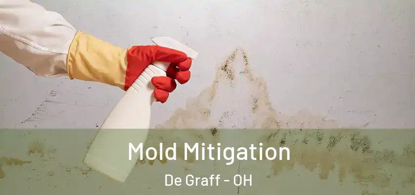  Mold Mitigation De Graff - OH