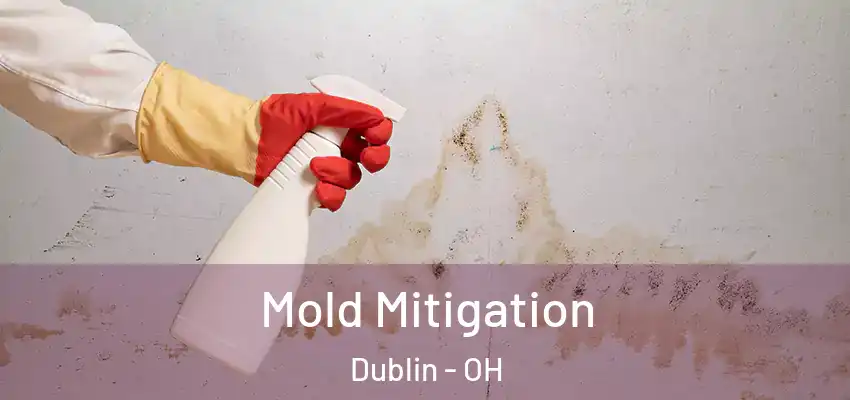  Mold Mitigation Dublin - OH