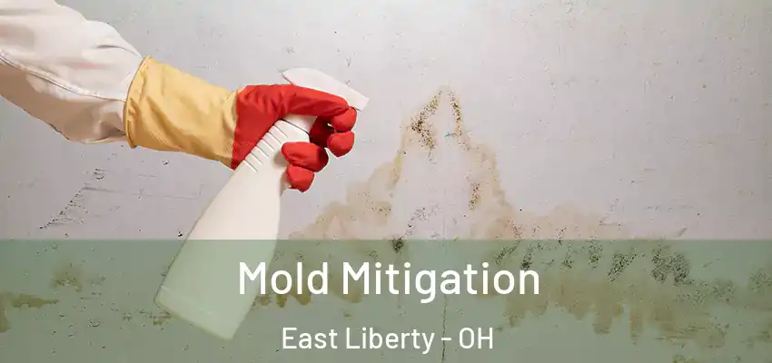  Mold Mitigation East Liberty - OH