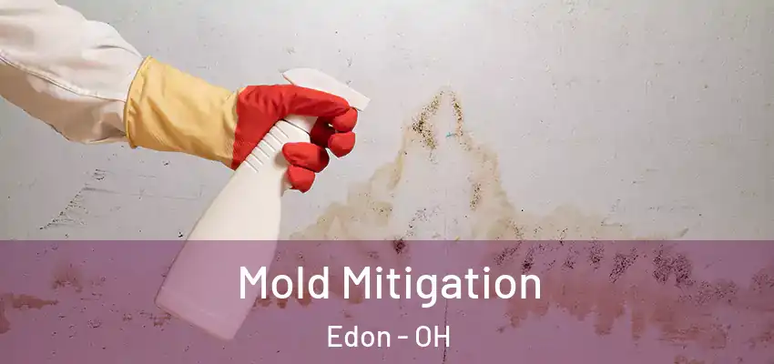  Mold Mitigation Edon - OH