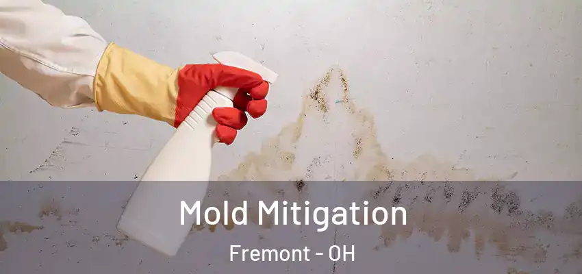  Mold Mitigation Fremont - OH