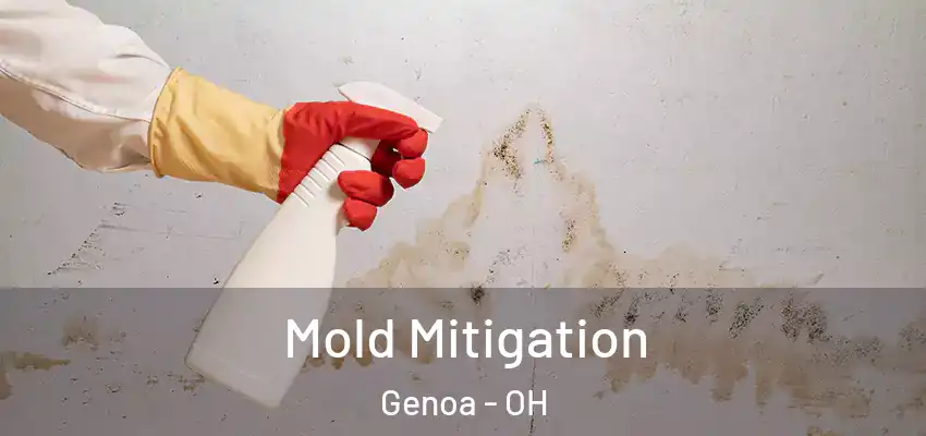  Mold Mitigation Genoa - OH