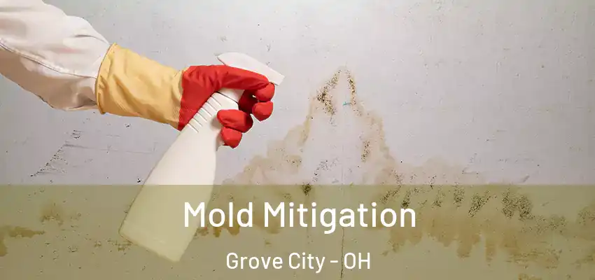  Mold Mitigation Grove City - OH