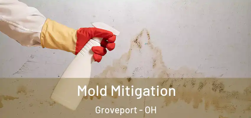  Mold Mitigation Groveport - OH