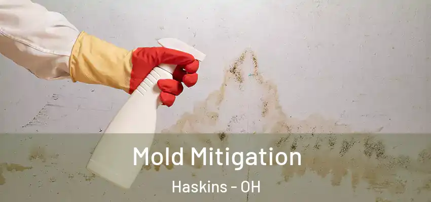  Mold Mitigation Haskins - OH