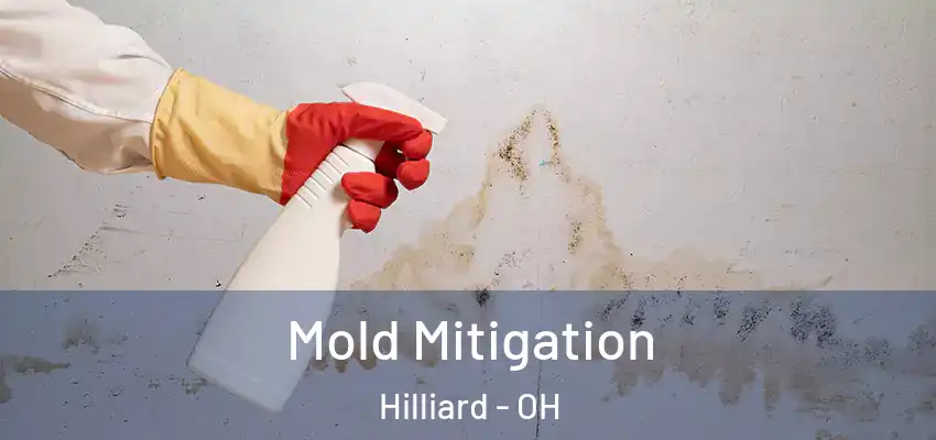 Mold Mitigation Hilliard - OH