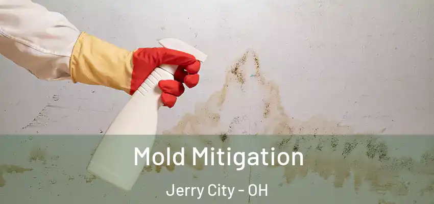 Mold Mitigation Jerry City - OH