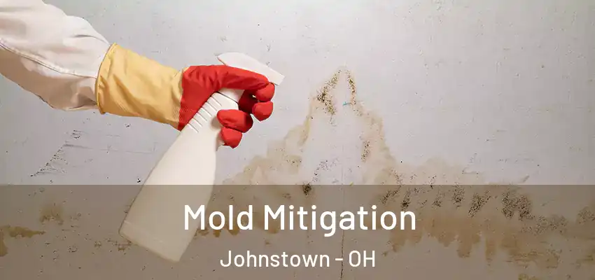  Mold Mitigation Johnstown - OH