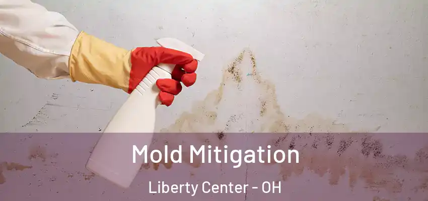  Mold Mitigation Liberty Center - OH