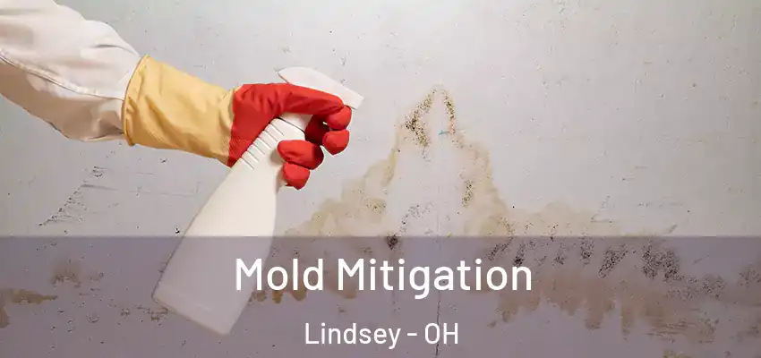  Mold Mitigation Lindsey - OH