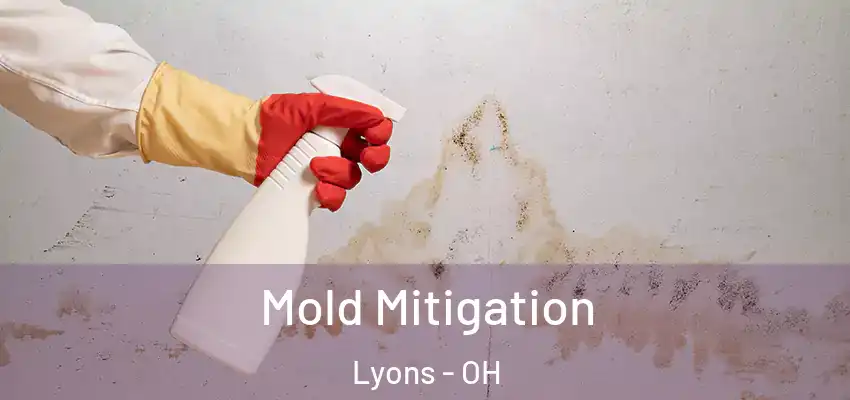  Mold Mitigation Lyons - OH