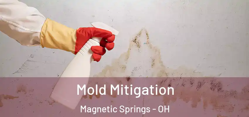  Mold Mitigation Magnetic Springs - OH