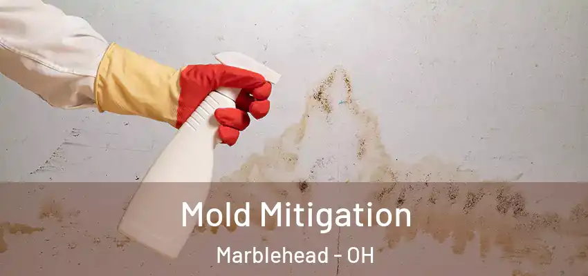  Mold Mitigation Marblehead - OH