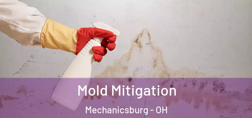  Mold Mitigation Mechanicsburg - OH