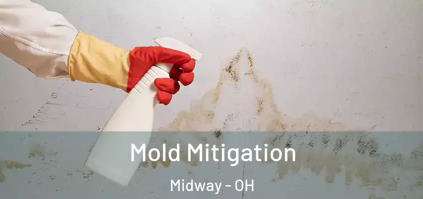  Mold Mitigation Midway - OH